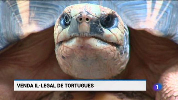 Informatiu Balear - Informatiu Balear 2 - 22/08/18