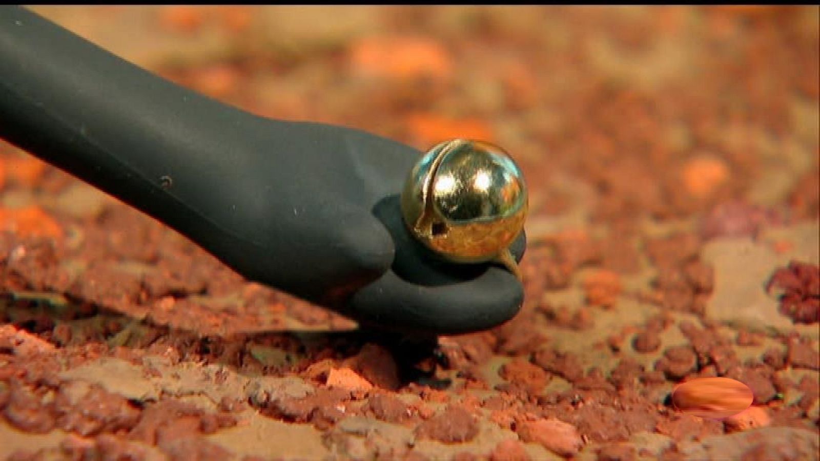 Timmy y el cascabel - La hora de Timmy | Ver