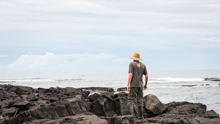 El tiempo - Temperaturas altas en el interior de Andalucía