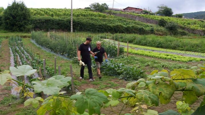 Aquí la Tierra - Plantas con exceso de agua