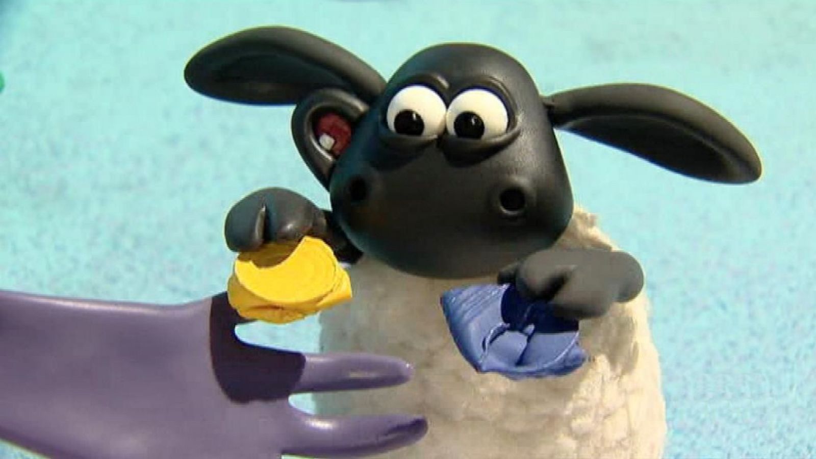 Las latas de Timmy - La hora de Timmy | Ver