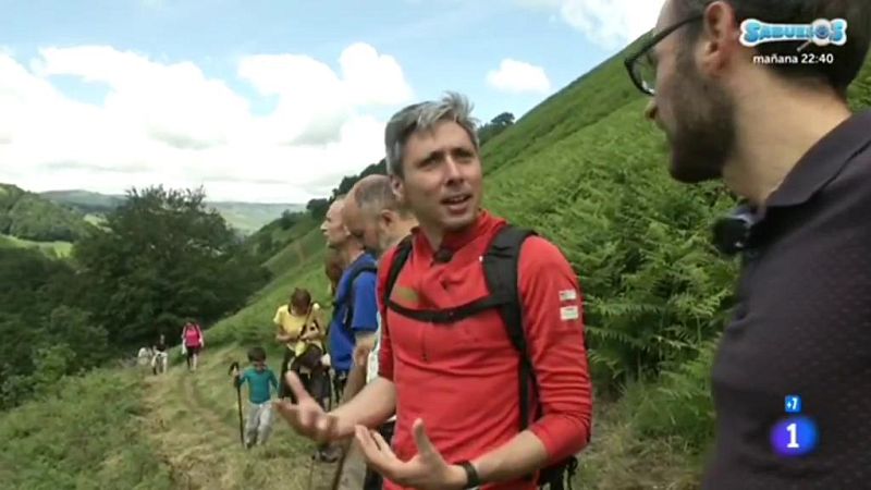 Comando al sol - Ancha es Castilla - El Valle de los mil verdes