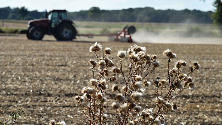 Informativo de Madrid - El Tiempo en la Comunidad de Madrid - 28/08/18