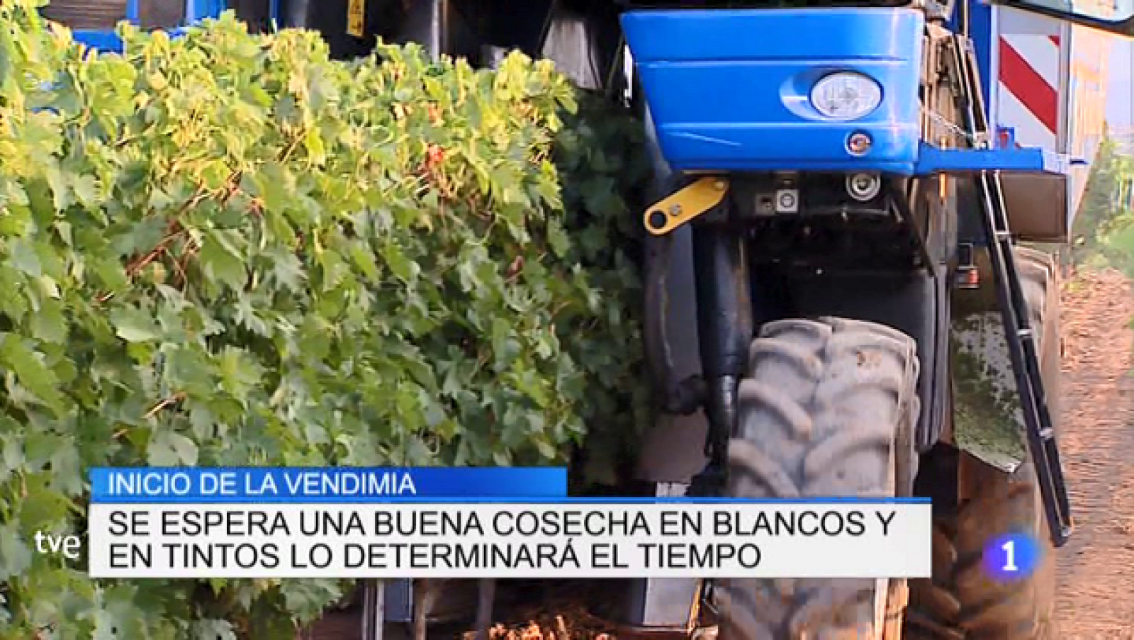 Telerioja en 2' - 28/08/18