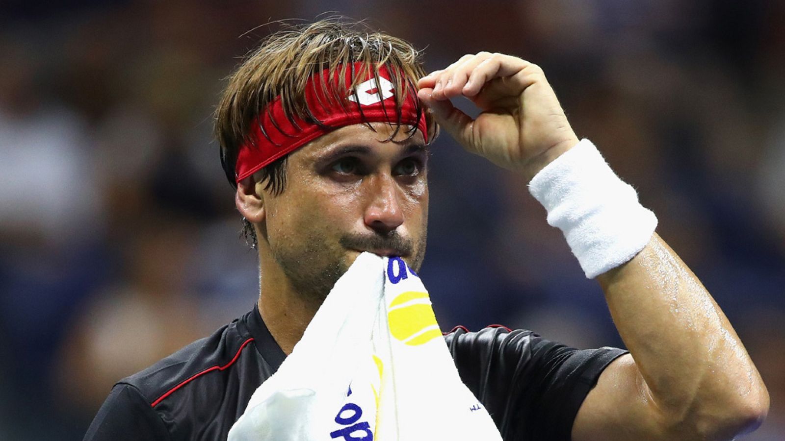 Ferrer anuncia que se acerca su retirada | Ver