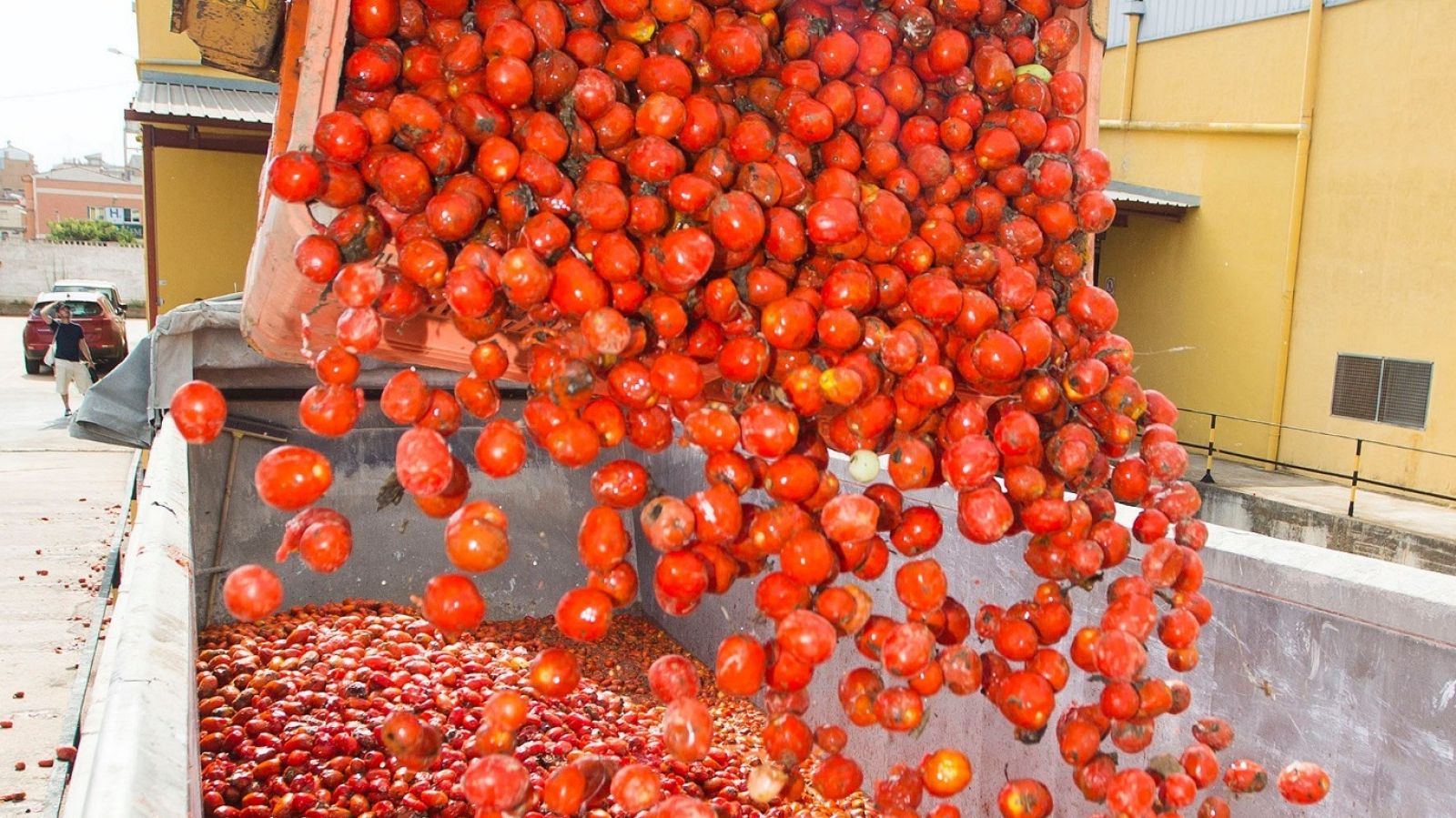 L'Informatiu - Comunitat Valenciana 2 - 28/08/18 - ver ahora