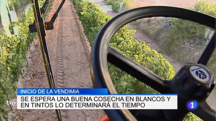 Informativo Telerioja - Informativo Telerioja 2 - 28/08/18