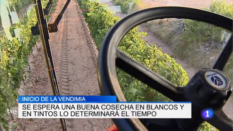 Informativo Telerioja 2 - 28/08/18