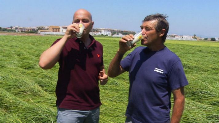  - De chufa a horchata con D.O.P