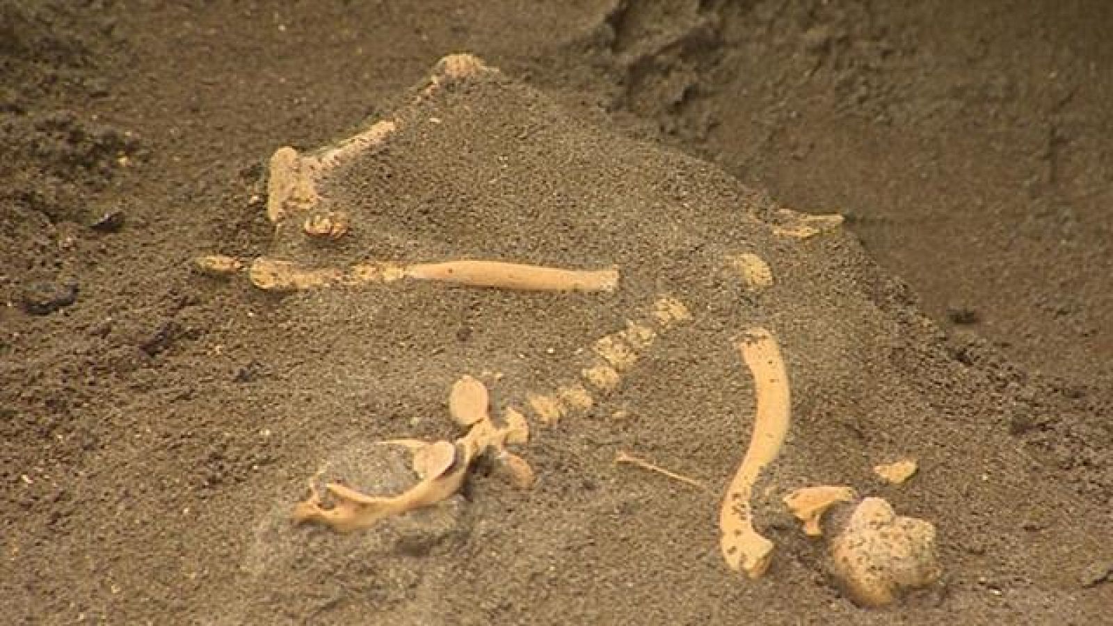 Canarias en 2' - 29/08/2018