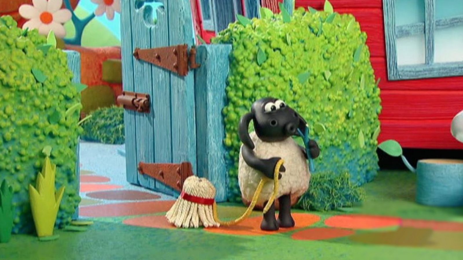 Timmy y su nueva mascota - La hora de Timmy | Ver