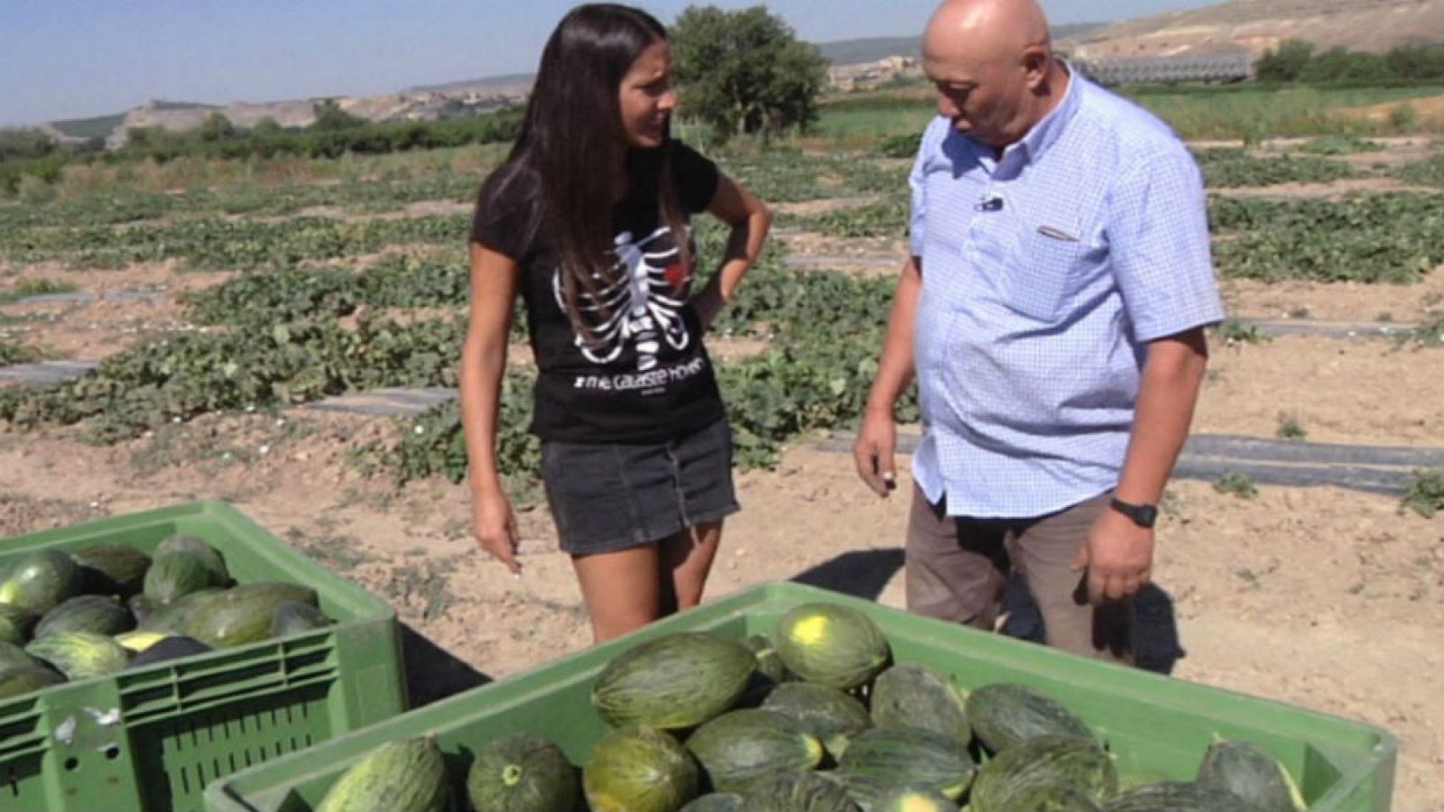 El melón más dulce del mundo