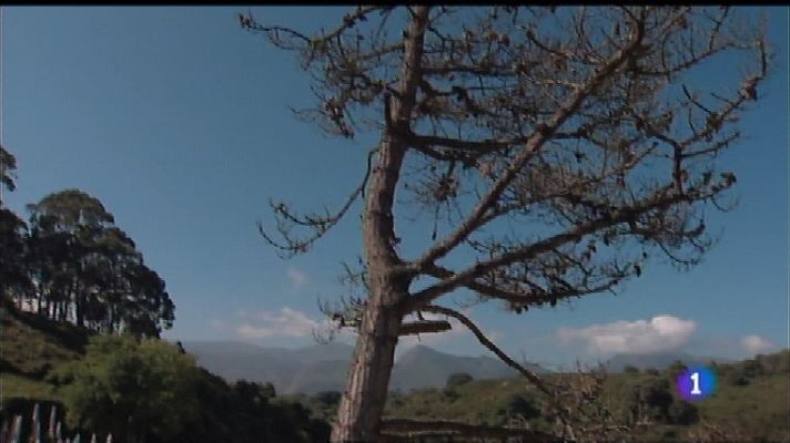 Panorama Regional - El tiempo en Asturias - 31/08/18