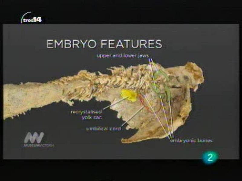 tres14 - Últimas  noticias