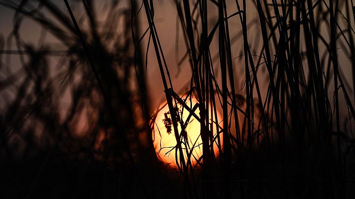 El tiempo - Subida de temperaturas en la mitad oeste peninsular