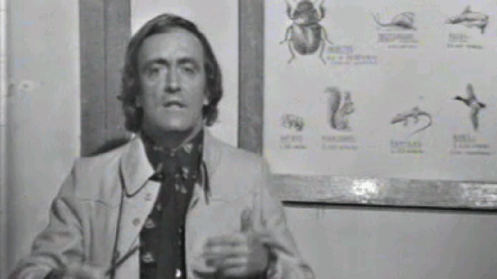 El planeta azul - Los pequeños gigantes