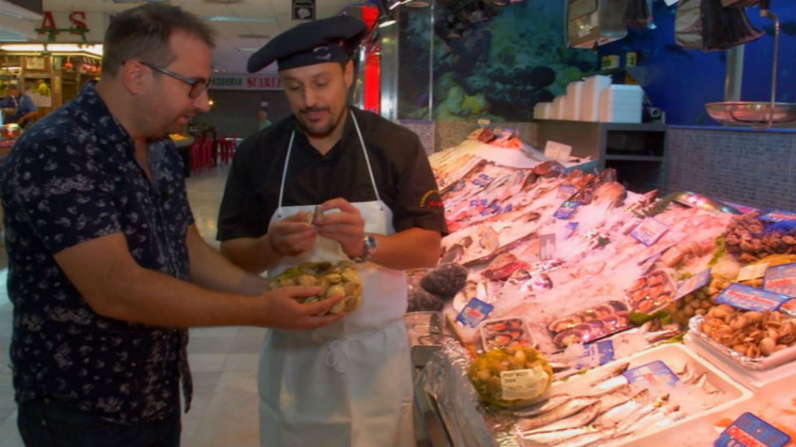 Aprendemos sobre los mariscos de concha