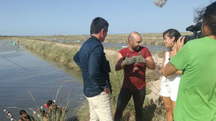 Aquí la Tierra - Este estero es un no parar