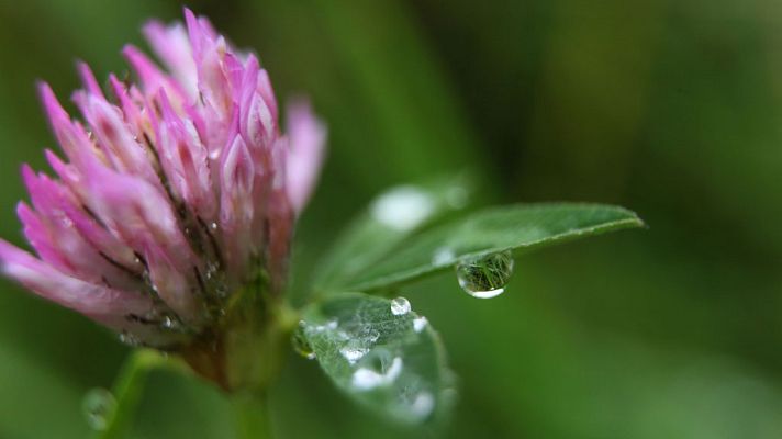 Informativo de Madrid - El Tiempo en la Comunidad de Madrid - 04/09/18