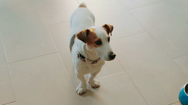 Sabuesos - Sabuesos - Así comienza el capítulo 6 de 'Sabuesos'