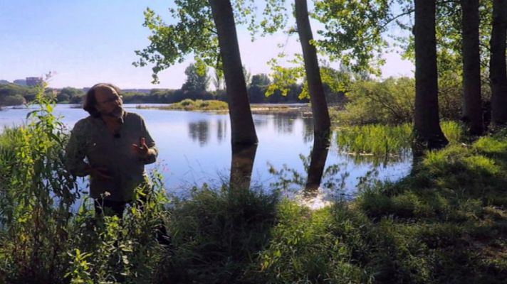 Aquí la Tierra - Salburua, ¡pura vida!