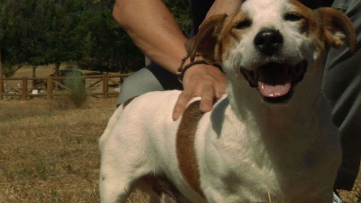 Aquí la Tierra - Así entrena Max