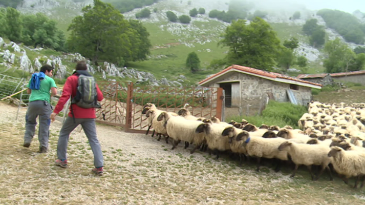 80 cm - Por las campas de Urbia