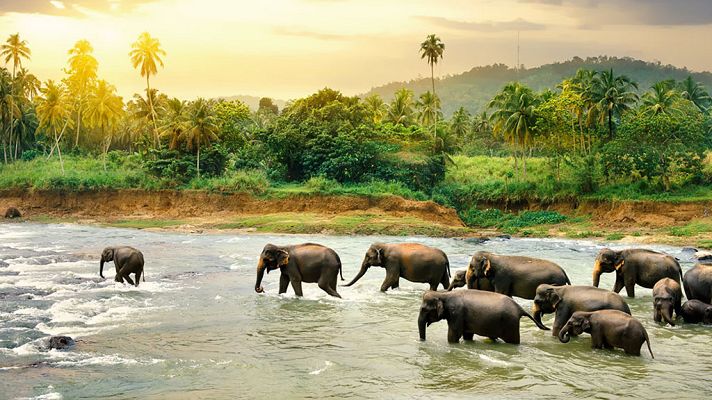 Grandes documentales - Lugares extraordinarios del mundo: Sri Lanka