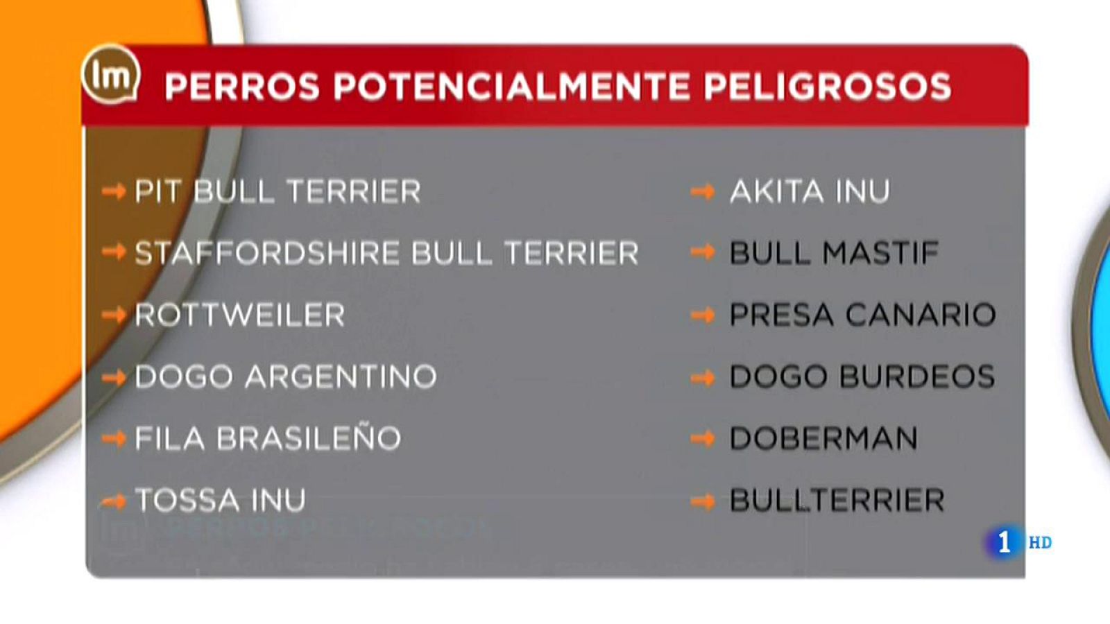 La Mañana - Cambia la normativa del cuidado de perros peligrosos