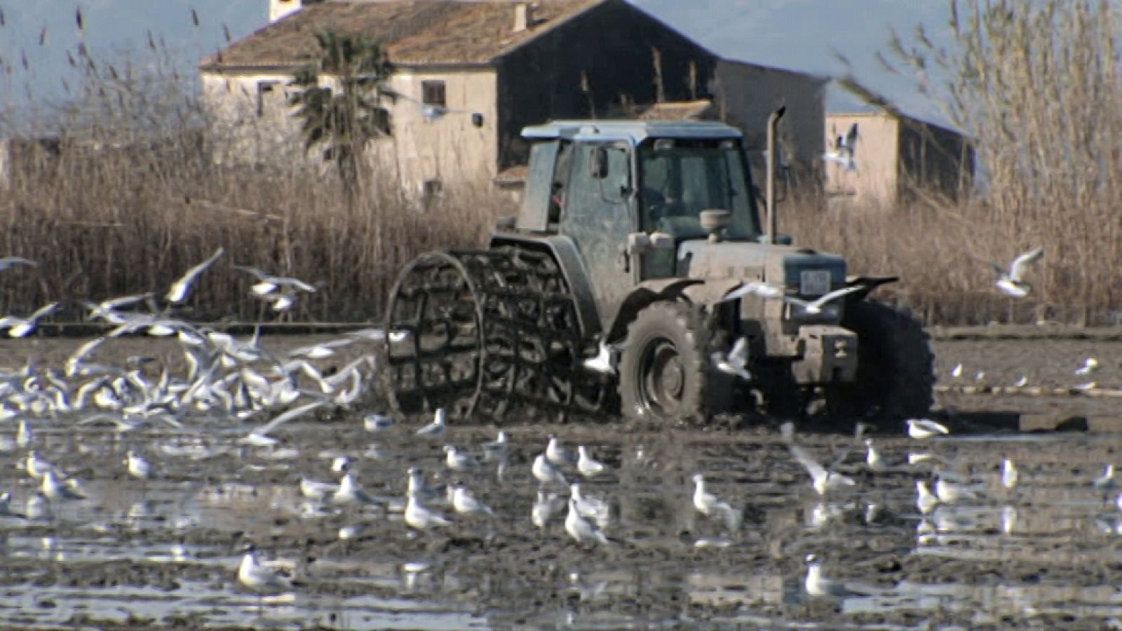 Otros documentales - España, la tierra prometida: Un lugar para el entendimiento - ver ahora