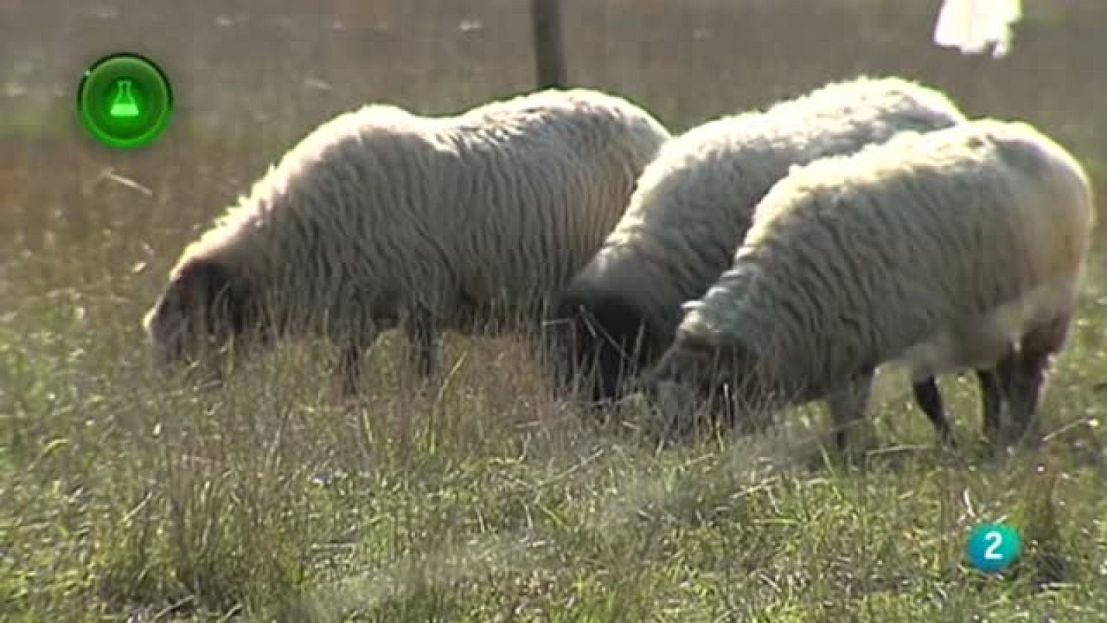 Asociacionculturalmoal@hotmail.com