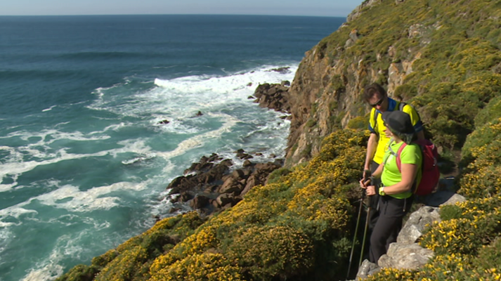 80 cm - Costa da Morte