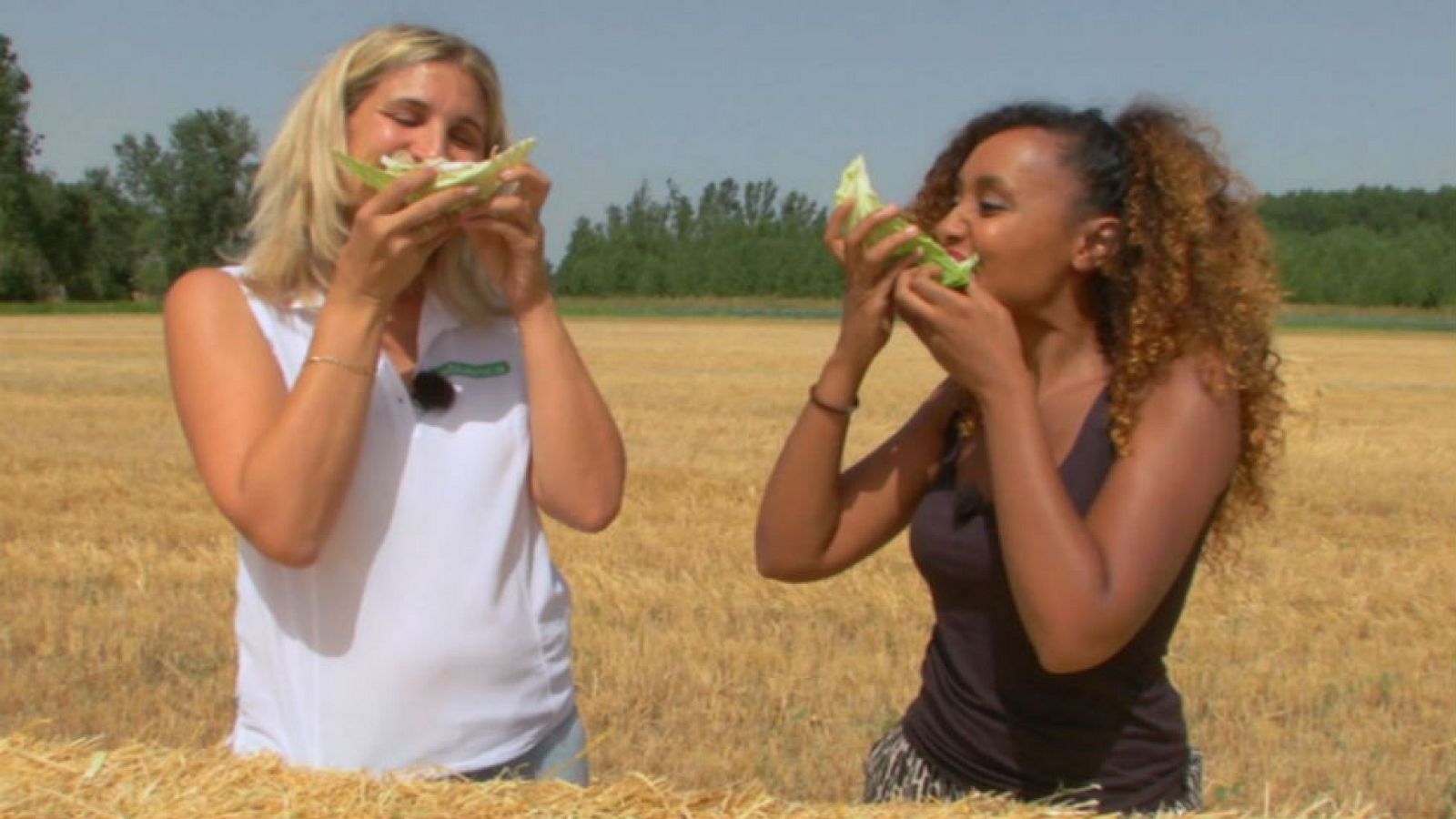 Repollo, rey de la ensalada