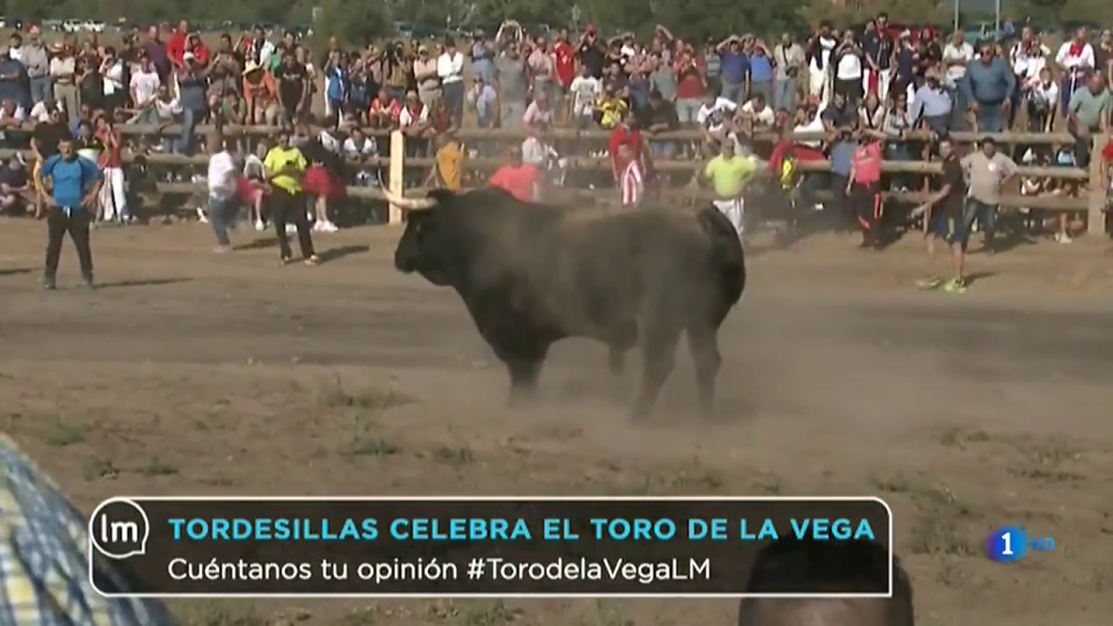 La Mañana - Tordesillas celebra el Toro de la Vega