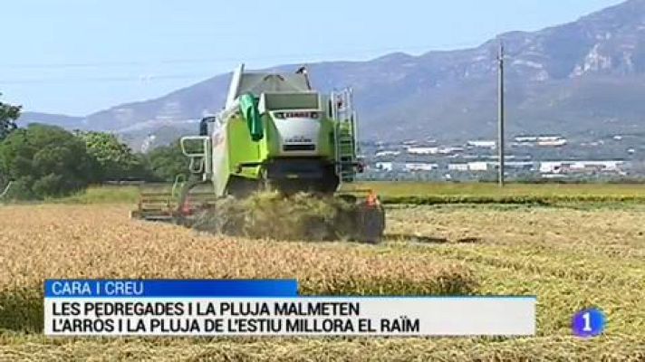 L'Informatiu - L'informatiu en 3 minuts - 13/09/2018