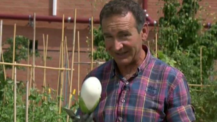 Aquí la Tierra - Un huerto lleno de color