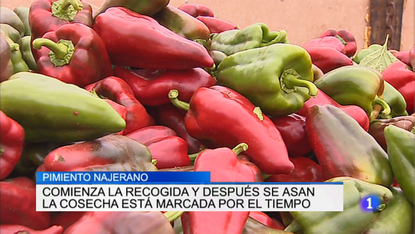 Informativo Telerioja 2 - 13/09/18