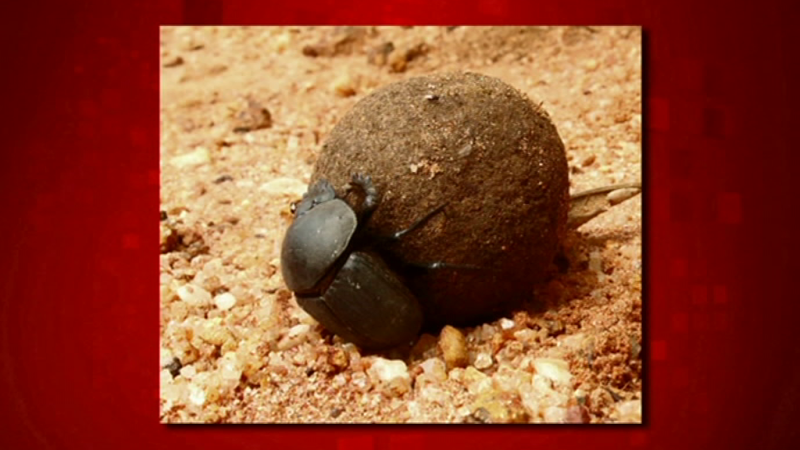 Saber y ganar - 13/09/18 - ver ahora