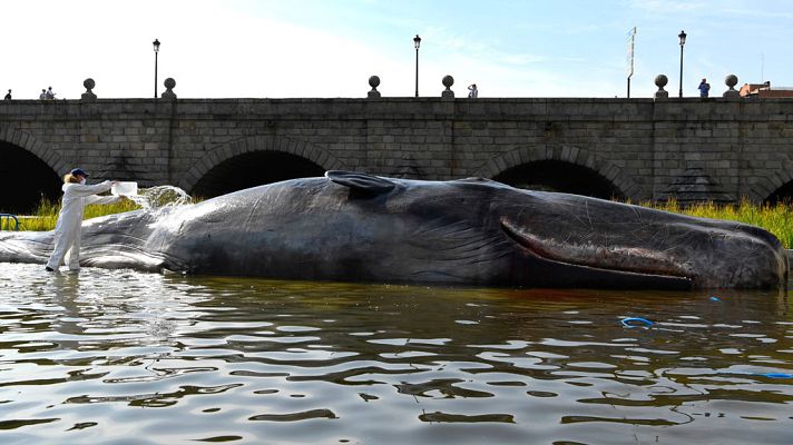 Informativo de Madrid - Informativo de Madrid - 14/09/18
