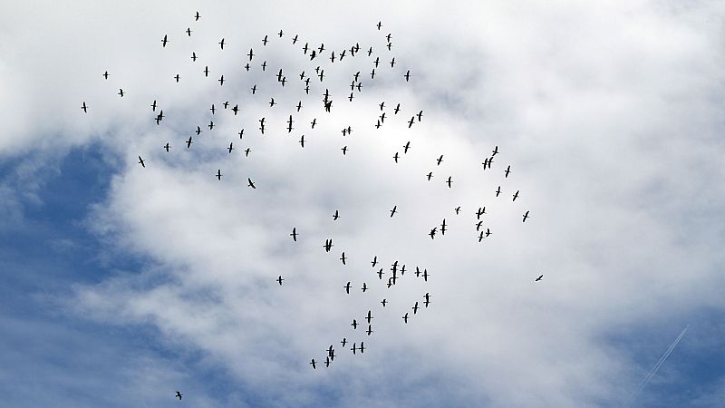 Chubascos y tormentas localmente fuertes en el sur peninsular