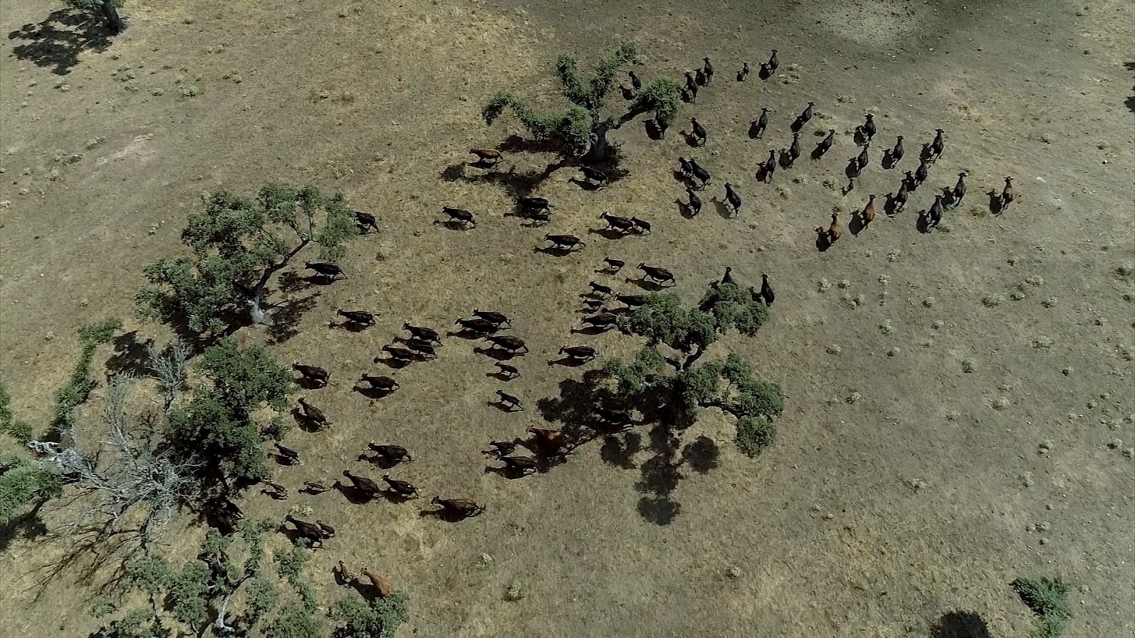 Tendido Cero - 15/09/18 - ver ahora