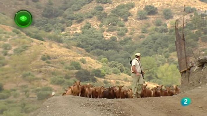 Agrosfera - Leche de cabra