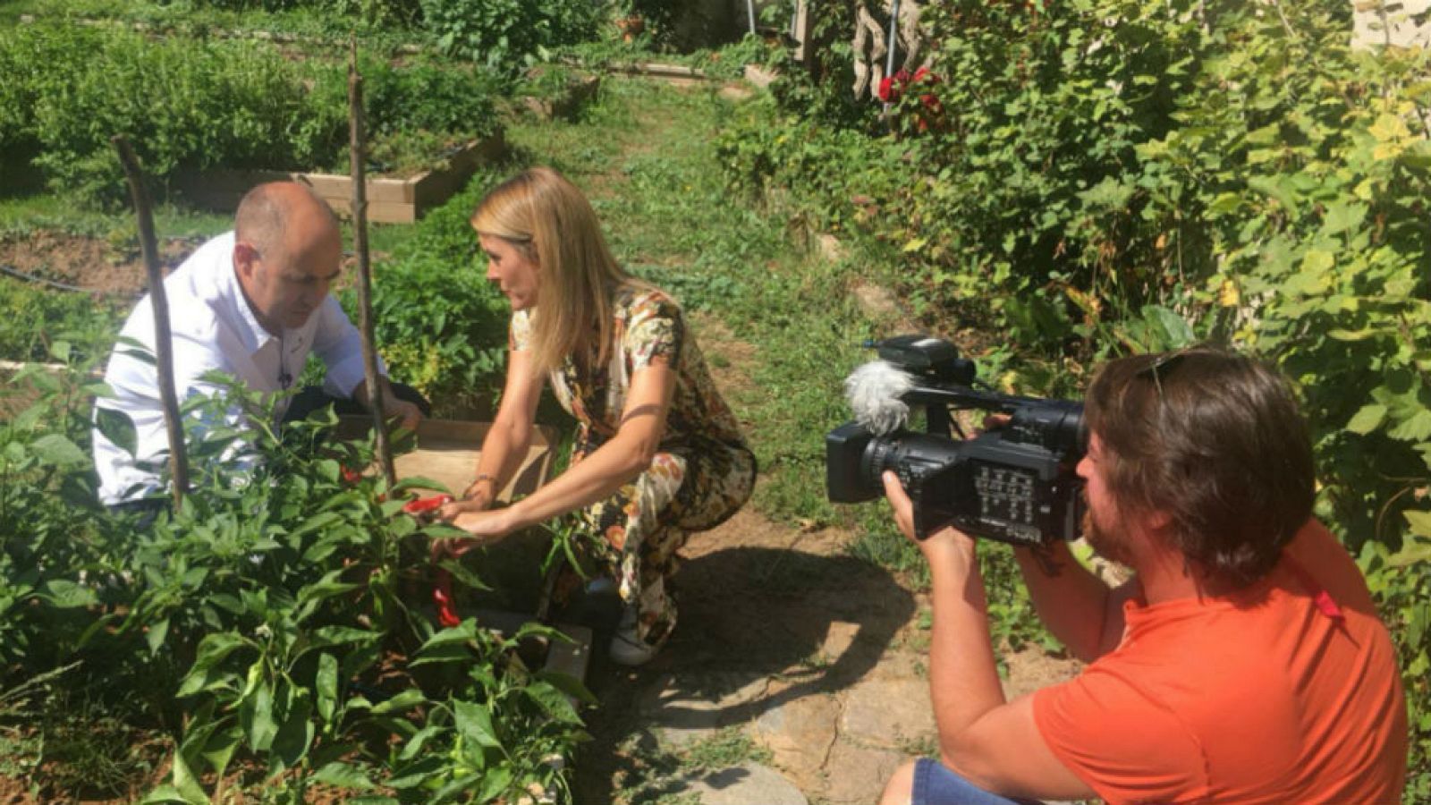 Un huerto con estrella Michelin