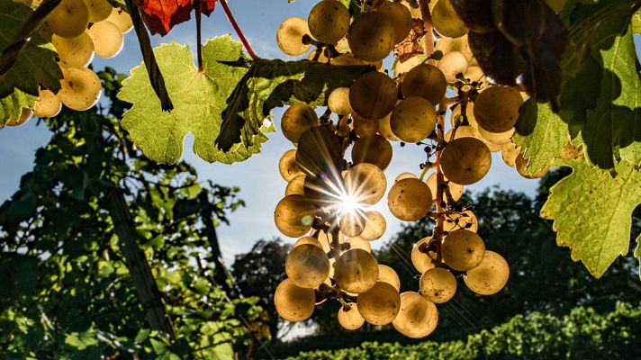 Informativo de Madrid - El Tiempo en la Comunidad de Madrid - 18/09/18