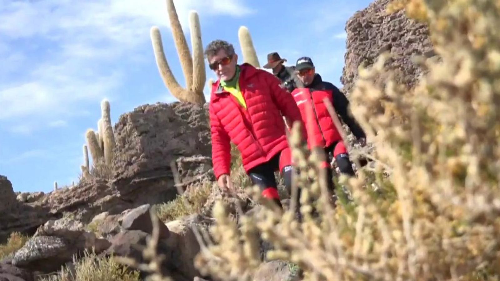 Full activity - Programa 9 - ver ahora