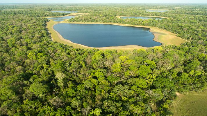 Grandes documentales - Brasil. Una historia natural: Laberinto de lagos
