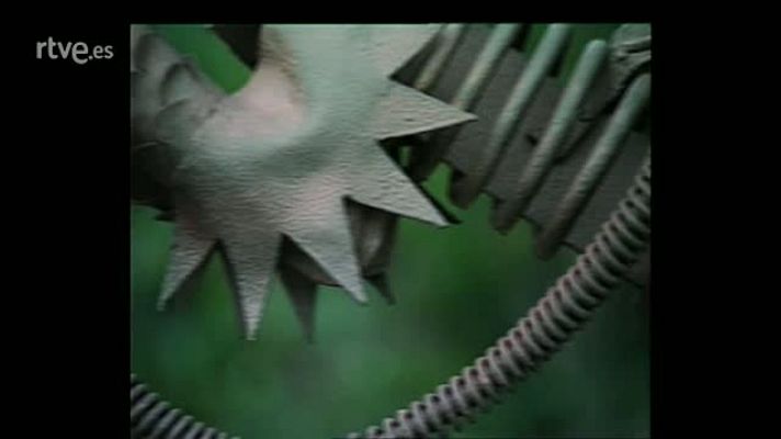 Gaudiana - L'ombra de Gaudí