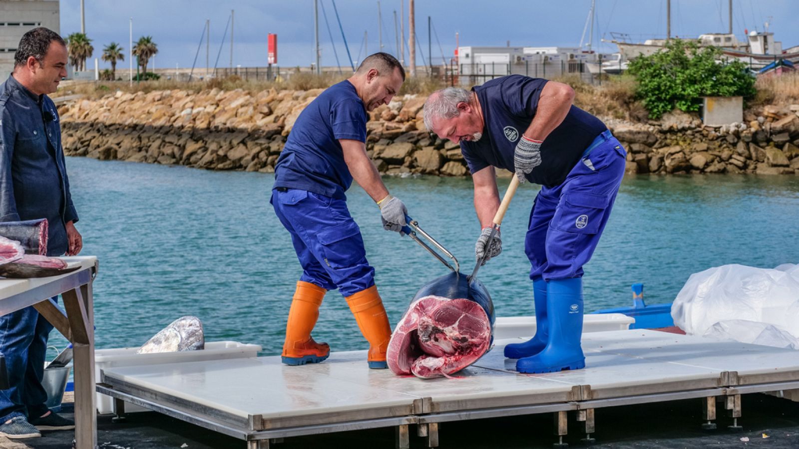 Masterchef Celebrity 3: La maestría del ronqueo del Atún | Ver
