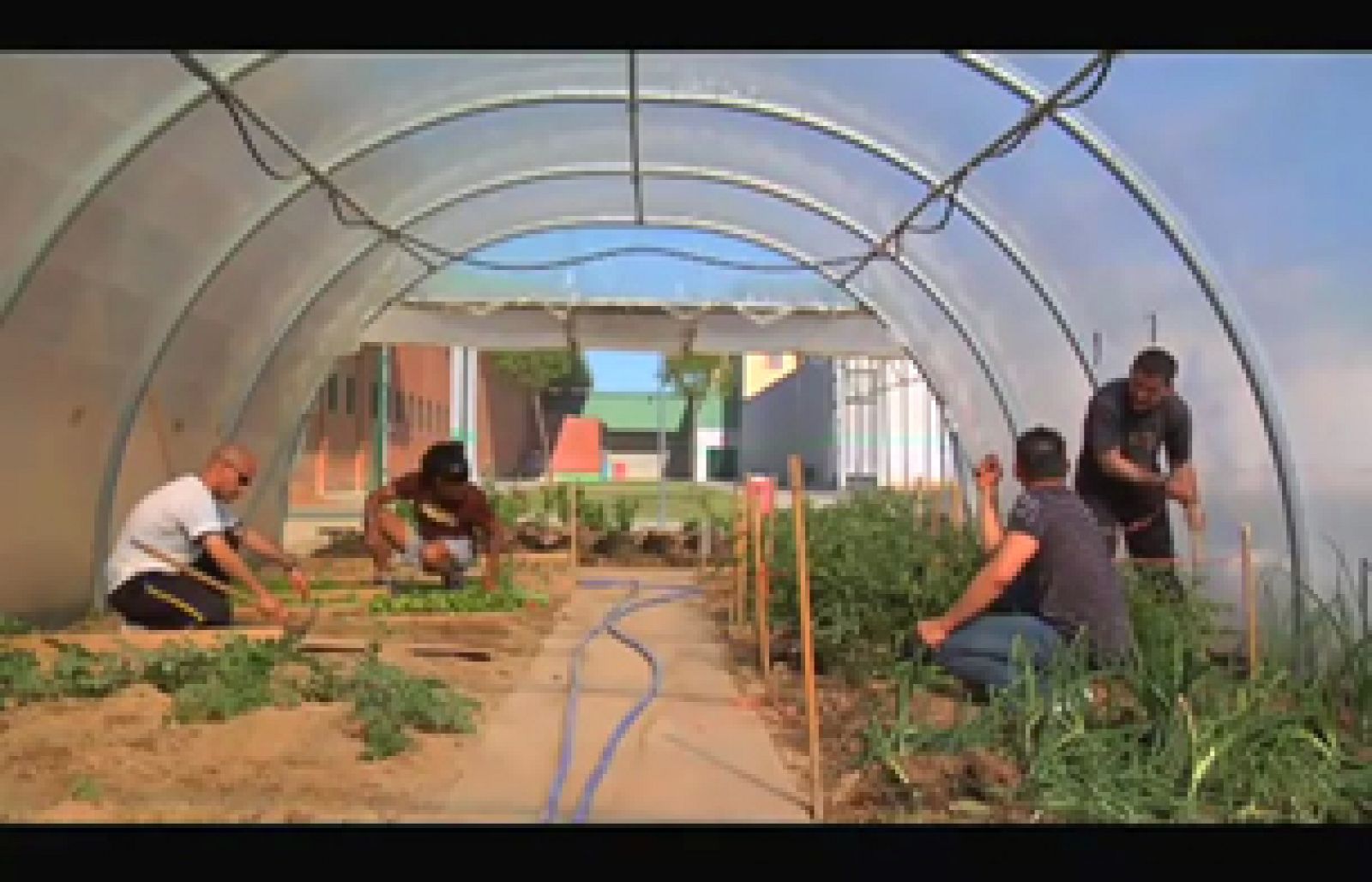 El coro de la cárcel - Programa 9 - Ver ahora