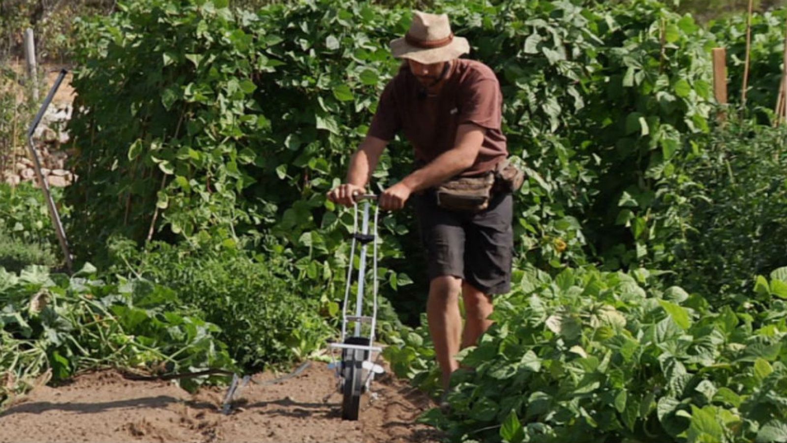 Mercado a pie de huerta
